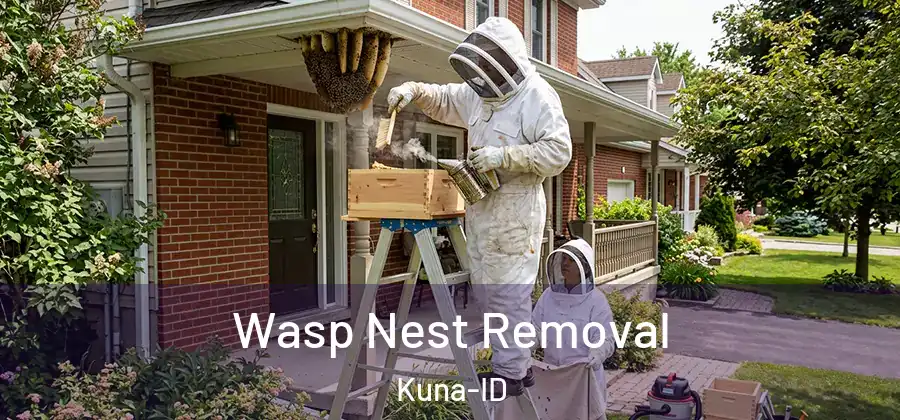 Wasp Nest Removal Kuna-ID