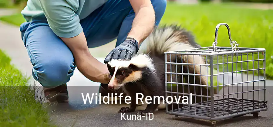 Wildlife Removal Kuna-ID