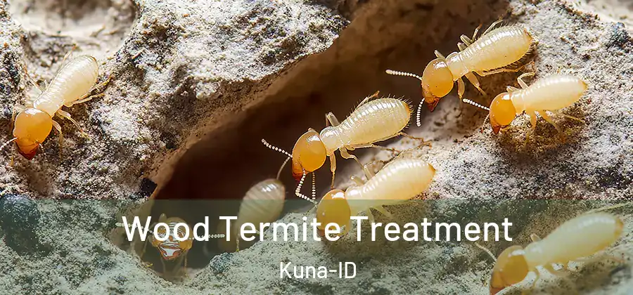  Wood Termite Treatment Kuna-ID