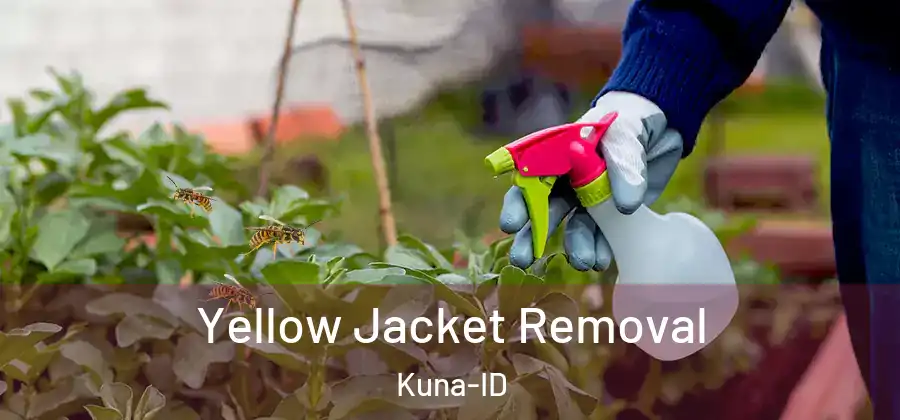  Yellow Jacket Removal Kuna-ID